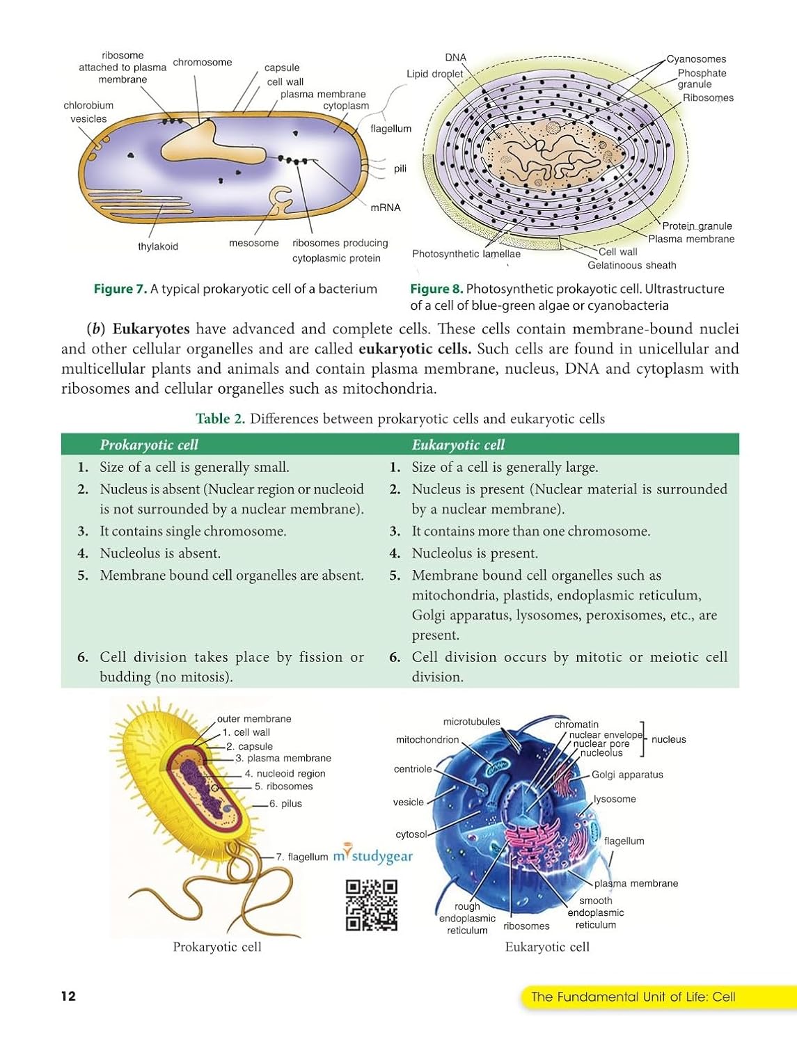 Lakhmir Singh Science Class 9 Biology Part 3 (2026-27 For CBSE Board Exams) | As Per Latest NCERT & CBSE Syllabus | Complete Biology Study for School Exams | NCERT Book Questions & Answers, CBQ, Solved Board Papers & Exercises – Science Grade 9