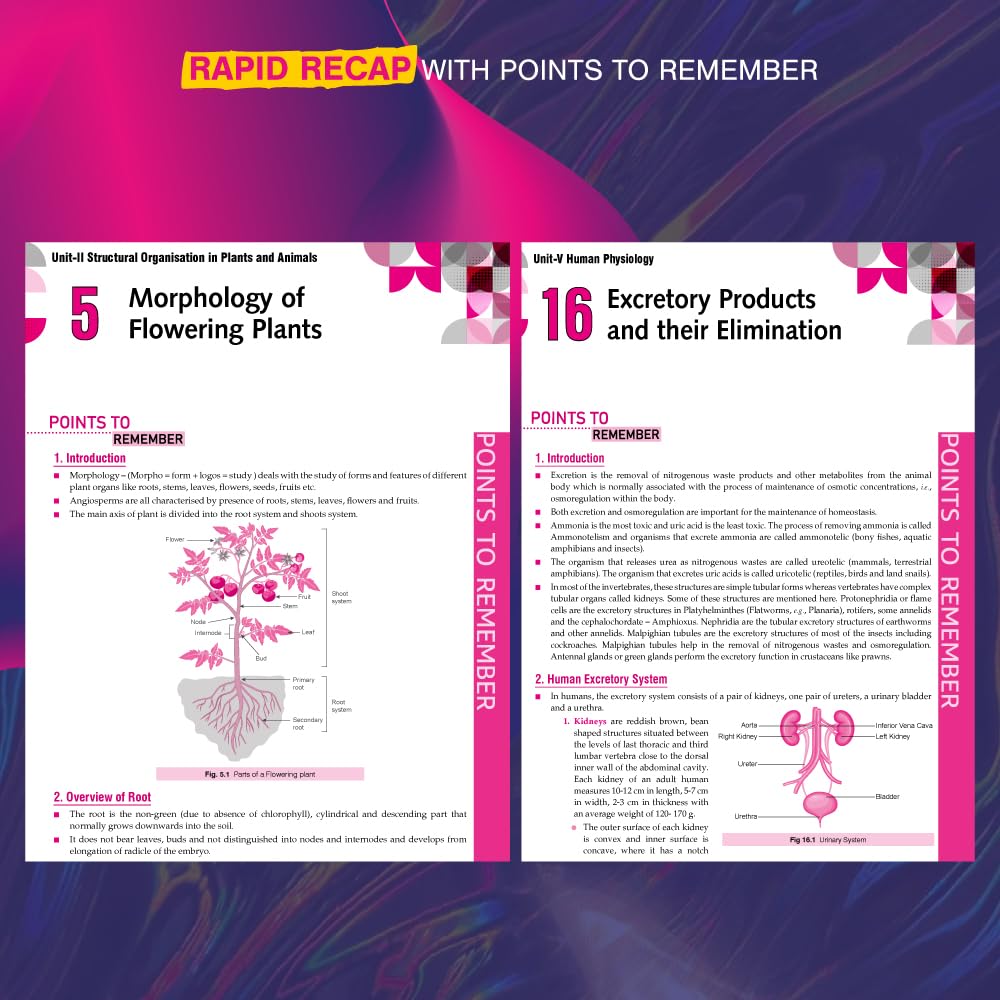 Xam idea Biology Class 11 Book | CBSE Board | Chapterwise Question Bank | Based on Revised CBSE Syllabus | NCERT Questions Included | 2025-26 Exam