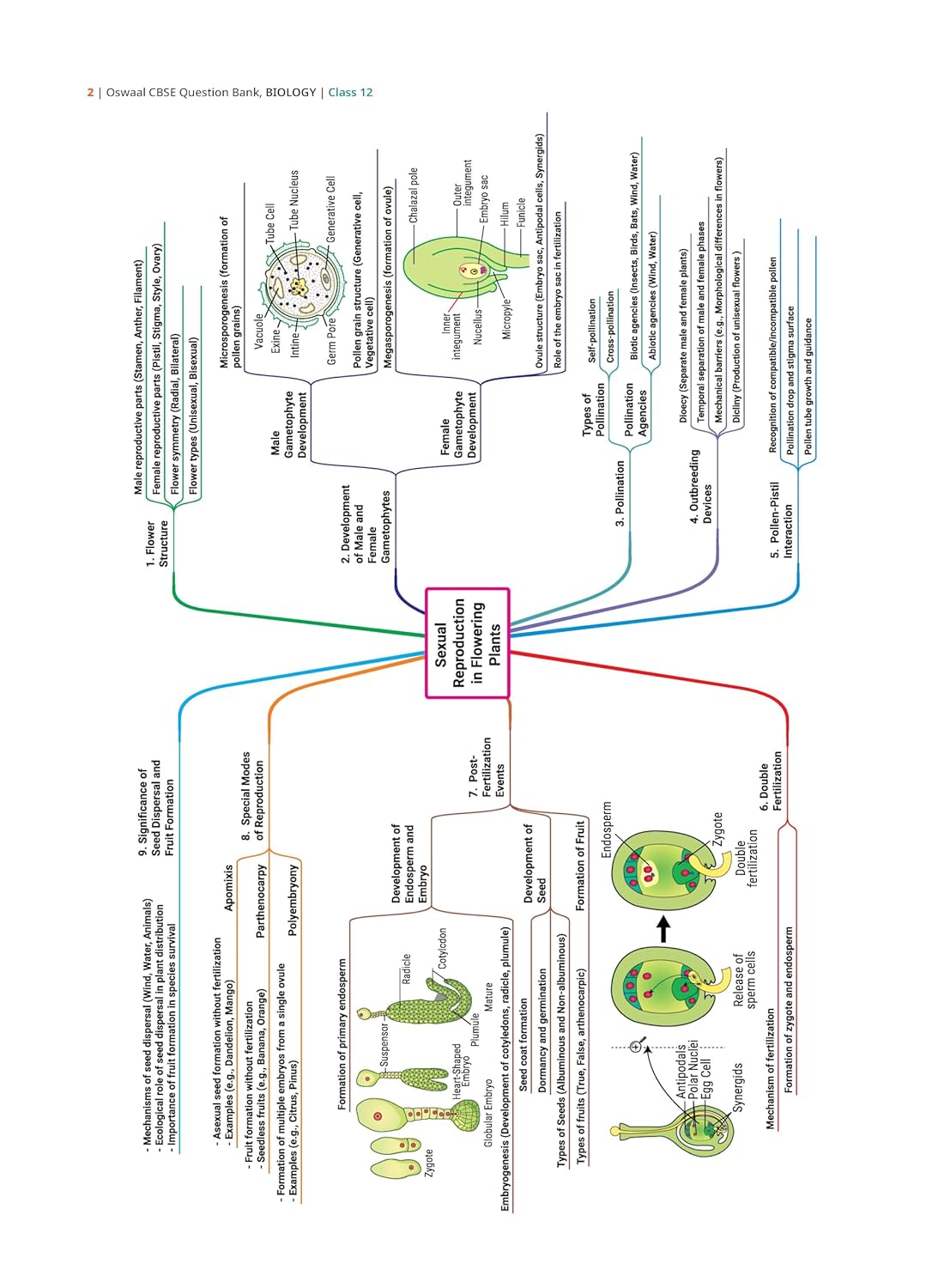 Oswaal CBSE Question Bank Chapterwise and Topicwise SOLVED PAPERS Class 12 Biology For Exam 2026