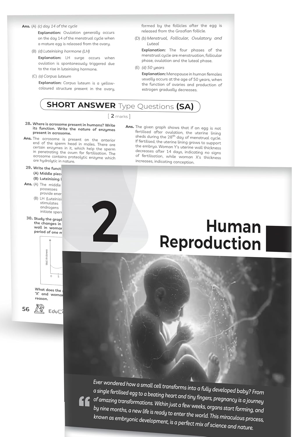 Educart CBSE Class 12 Biology Question Bank 2025-26 on new Syllabus 2026 (Includes Past Years Solved Questions)