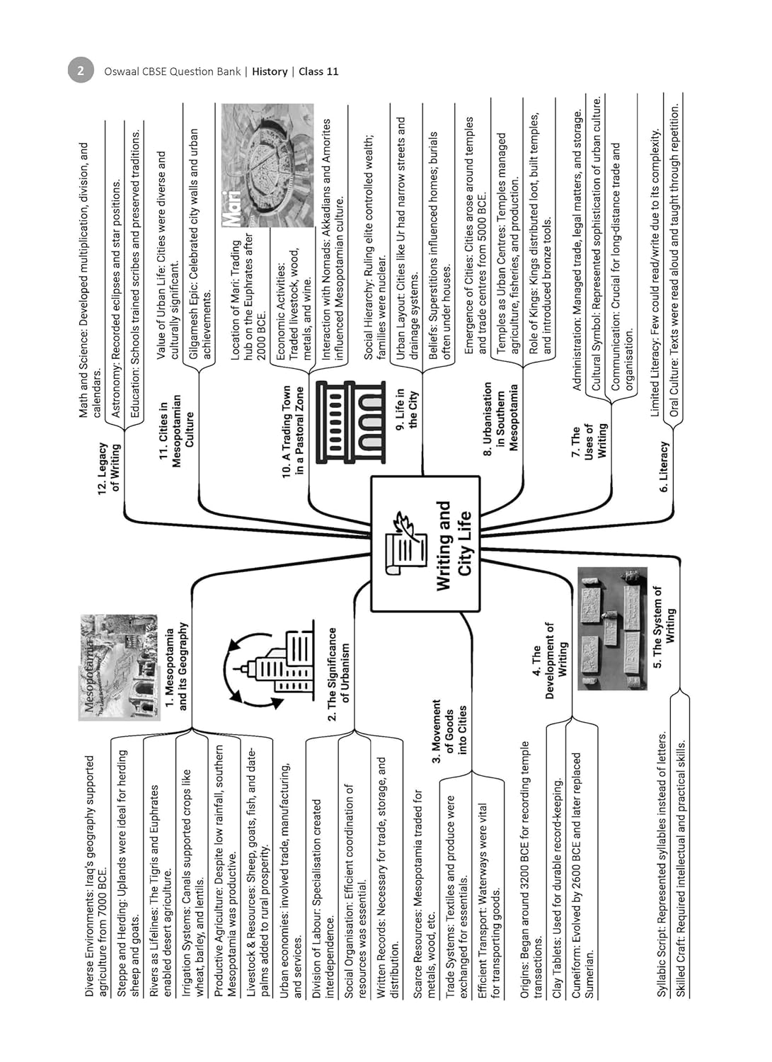 Oswaal CBSE Question Bank Class 11 History, Chapterwise and Topicwise Solved Papers For 2026 Exams