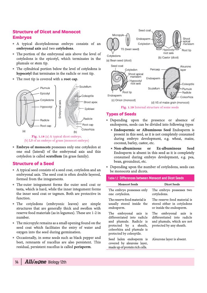 Arihant All in One Biology Class 12 for CBSE Exam 2026-27 | NCERT Based Complete Theory, Practice Exercises, CBQs, A-R, Sample Papers & Mind Maps | Revised Edition as per Latest Syllabus