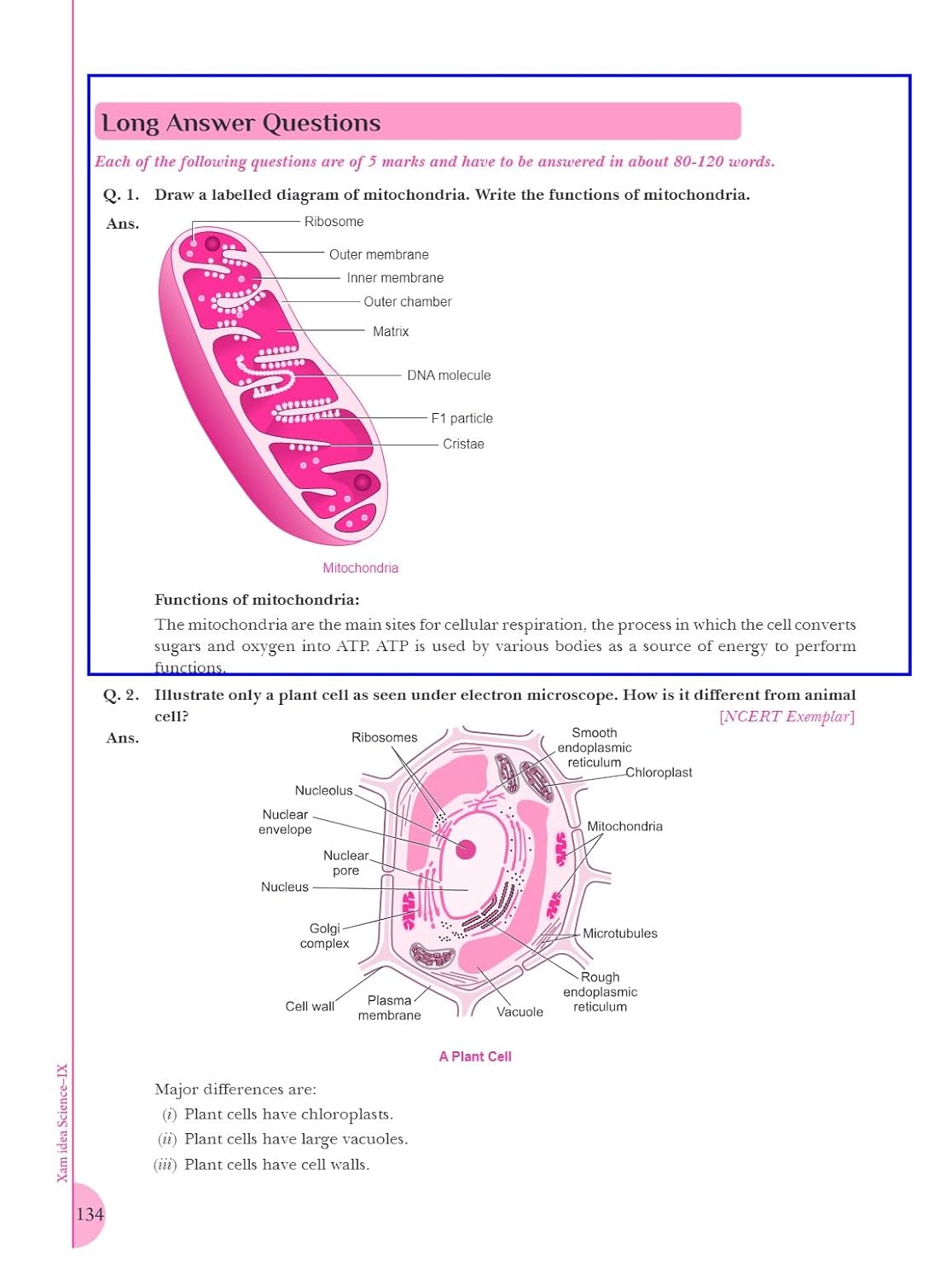 Xam idea Science Class 9 Book | CBSE Board | Chapterwise Question Bank | Based on Revised CBSE Syllabus | NCERT Questions Included | 2025-26 Exam
