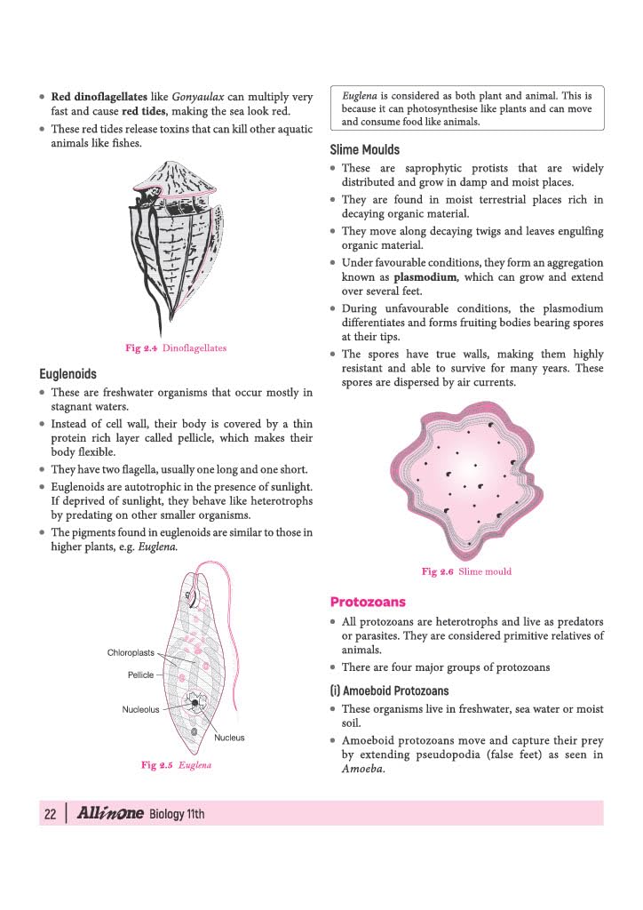 Arihant All in One Biology Class 11 for CBSE Exam 2026-27 | NCERT Based Complete Theory, Practice Exercises, CBQs, A-R, Sample Papers & Mind Maps | Revised Edition as per Latest Syllabus