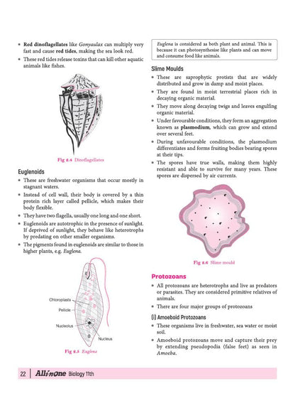 Arihant All in One Biology Class 11 for CBSE Exam 2026-27 | NCERT Based Complete Theory, Practice Exercises, CBQs, A-R, Sample Papers & Mind Maps | Revised Edition as per Latest Syllabus