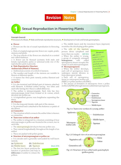 Oswaal CBSE Question Bank Chapterwise and Topicwise SOLVED PAPERS Class 12 Biology For Exam 2026
