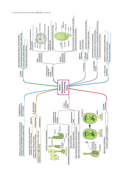 Oswaal CBSE Question Bank Chapterwise and Topicwise SOLVED PAPERS Class 12 Biology For Exam 2026