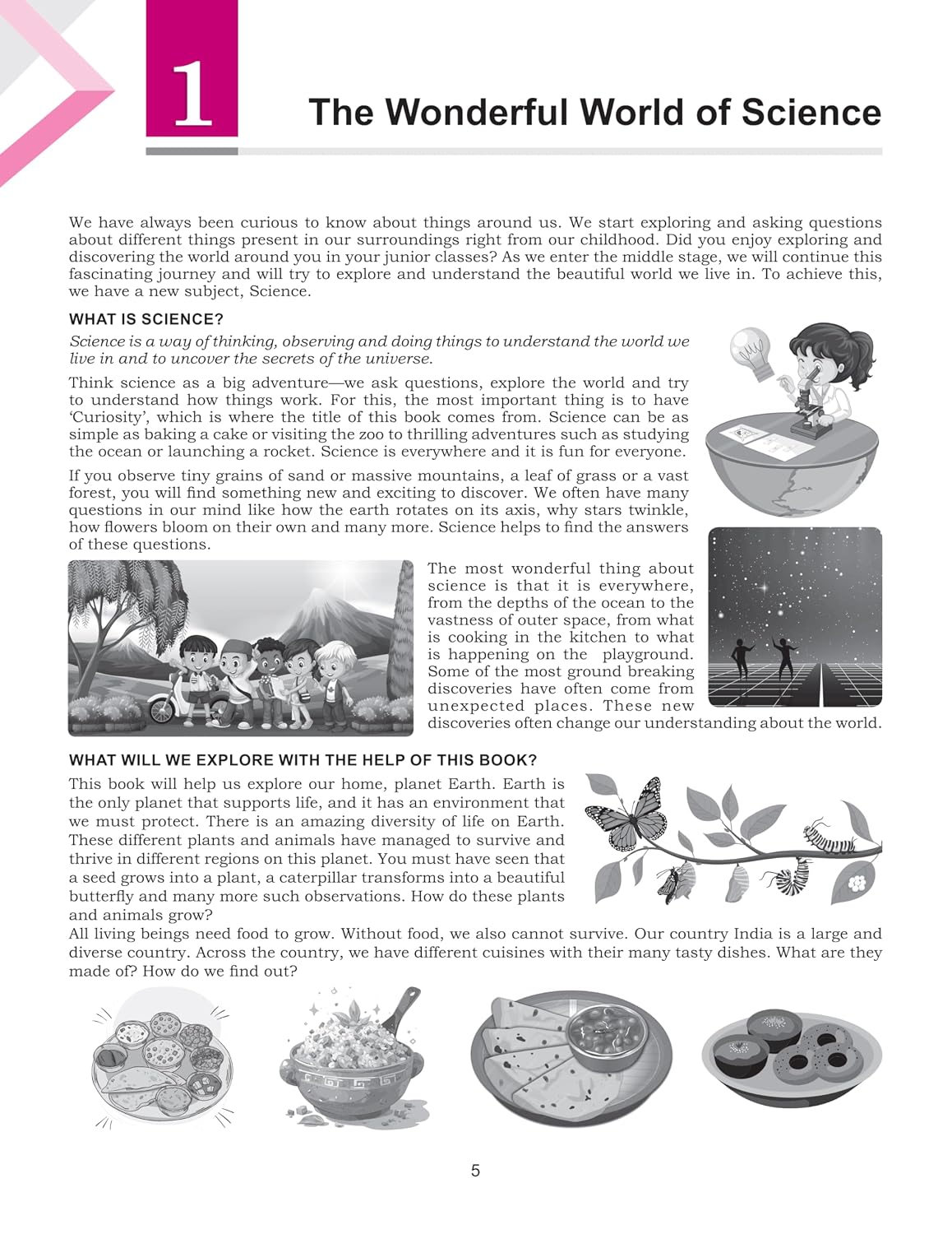 Full Marks Science CURIOSITY Complete Study Material for Class 6: Based on New NCERT Textbook Curiosity | Summary | Solved NCERT Textual Questions | Question Bank | Support Book