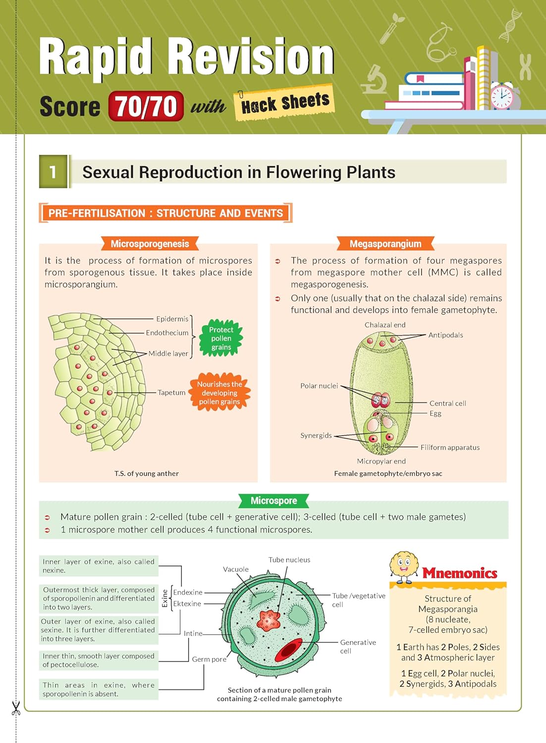 MTG CBSE Class 12 PYQs Book | 10 Years (2026-2017) Chapterwise Topicwise Solved Papers Class 12 Biology - CBSE Champion For 2027 Exam | Free Video ... | CBSE Sample Papers (As Per Latest Pattern)