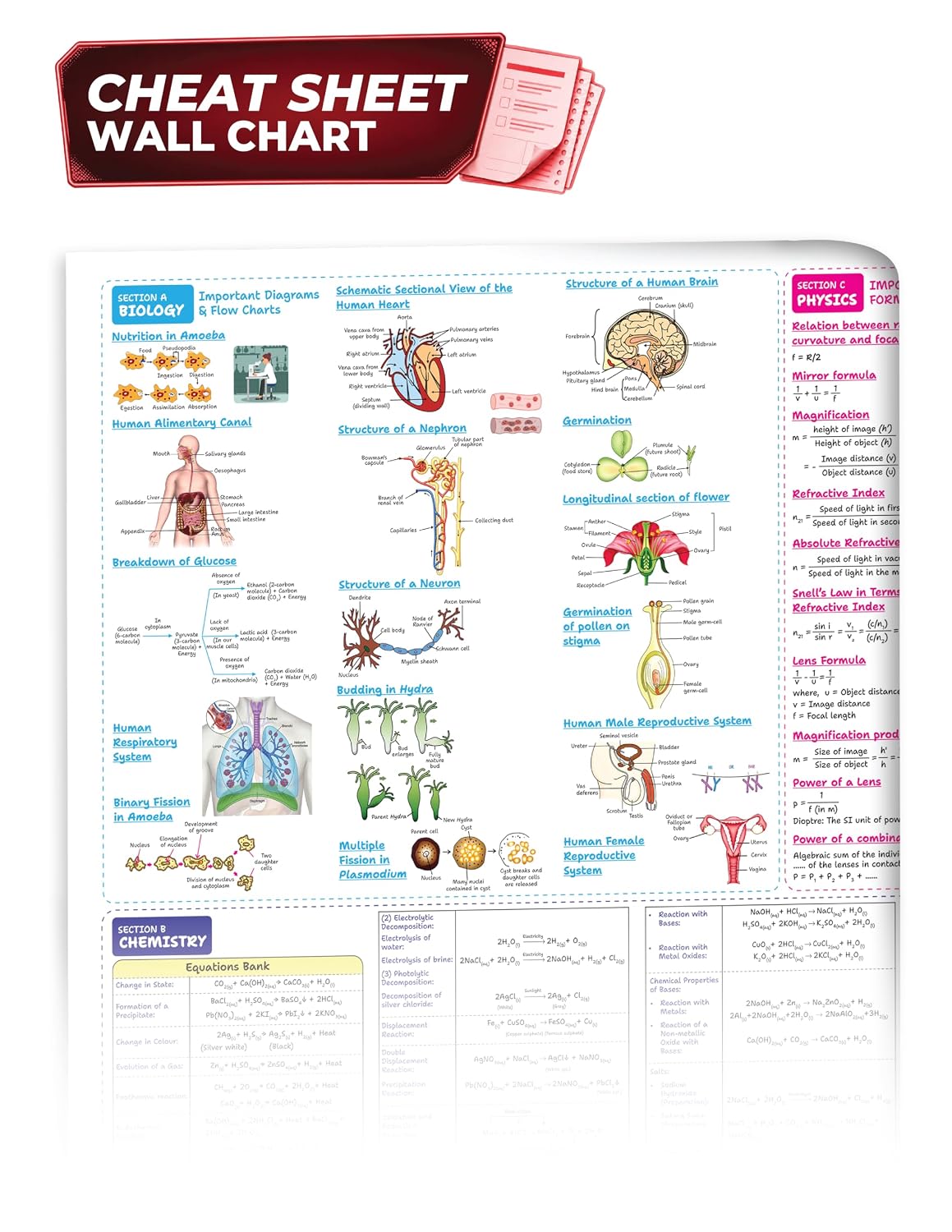 Educart CBSE Sample Paper Class 10 2026-27 Science (with Topper-Style Solutions & Cheat Sheet Wall Chart) For 2027 Exam