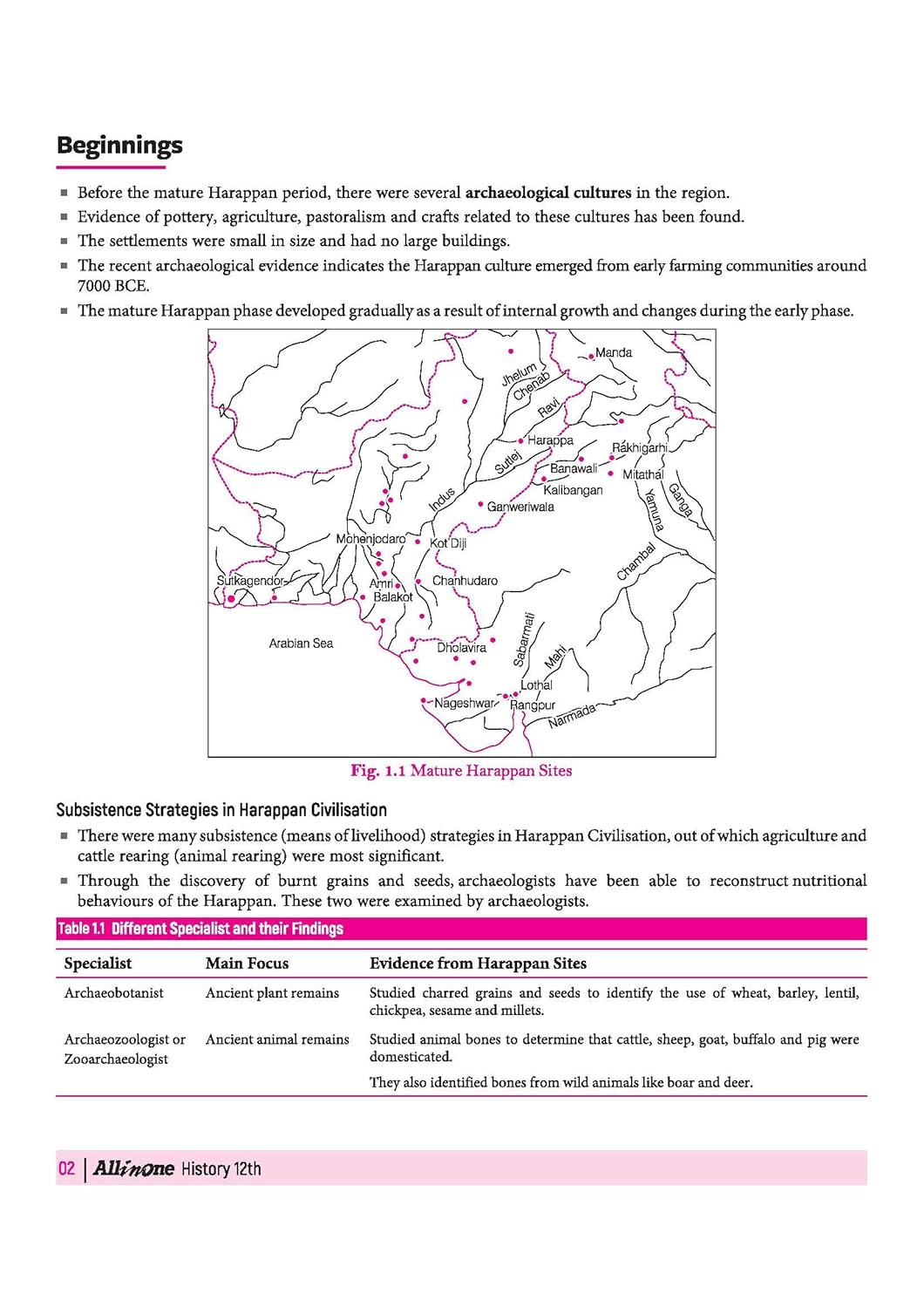 Arihant All in One History Class 12 for CBSE Exam 2026-27 | NCERT Based Complete Theory, Practice Exercises, CBQs, A-R, Sample Papers & Mind Maps | Revised Edition as per Latest Syllabus
